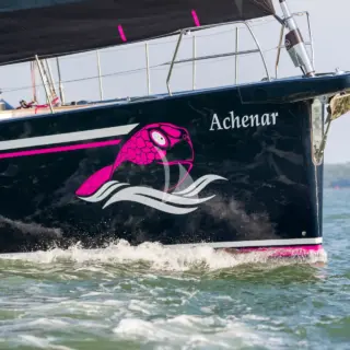 ACHENAR - Image 3