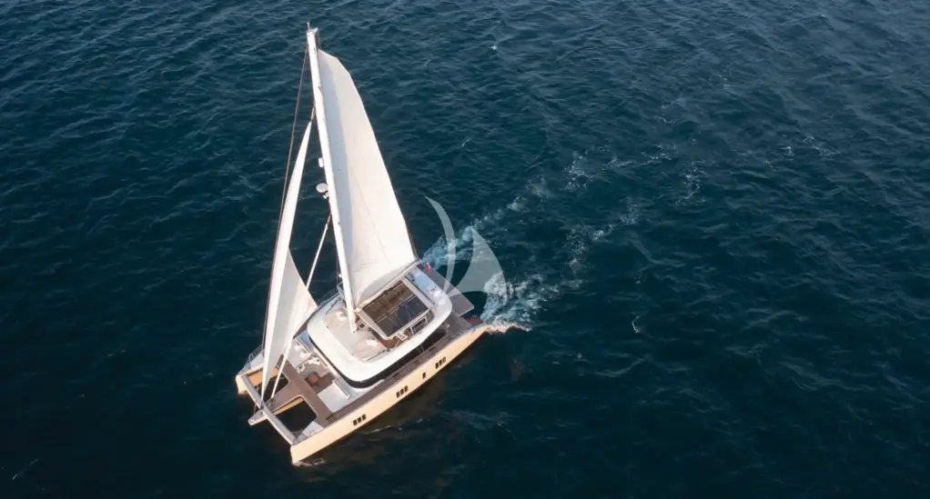 SPICE OF LIFE - Image 5