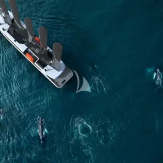 Aerial