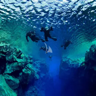 Diving