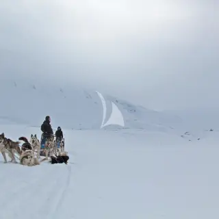 Dog-sledding