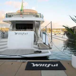WILLFUL - Image 2