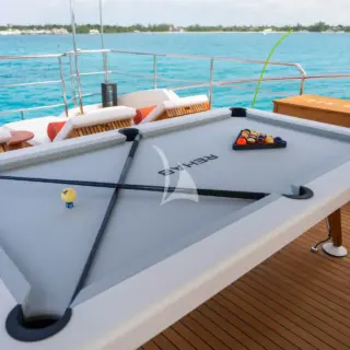 Custom REHAB Pool Table