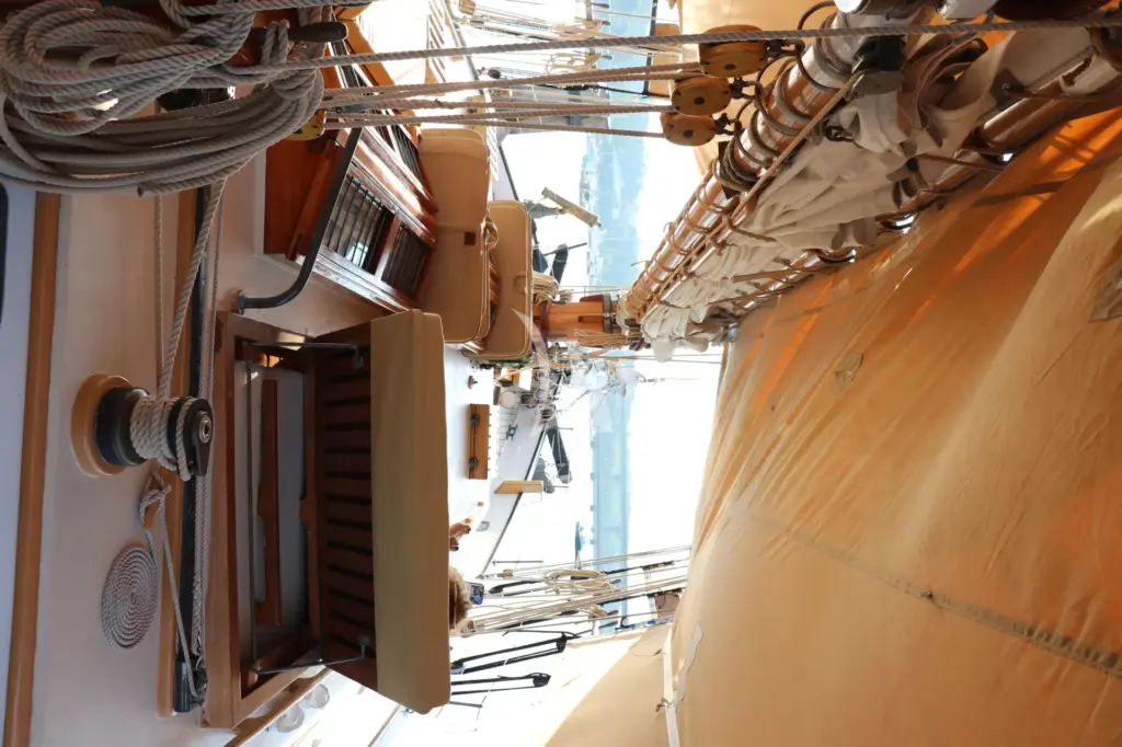 TREE OF LIFE - Image 5