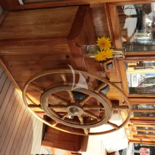 TREE OF LIFE - Image 7