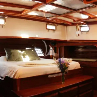 TREE OF LIFE - Image 8