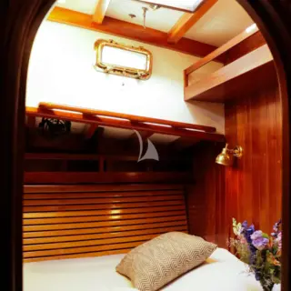 TREE OF LIFE - Image 12