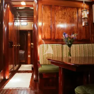 TREE OF LIFE - Image 9