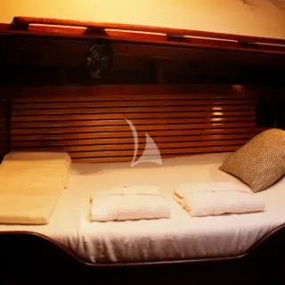 TREE OF LIFE - Image 11