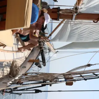 TREE OF LIFE - Image 15