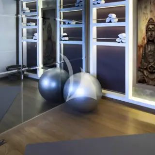 LIQUID SKY - Gym/Massage Room