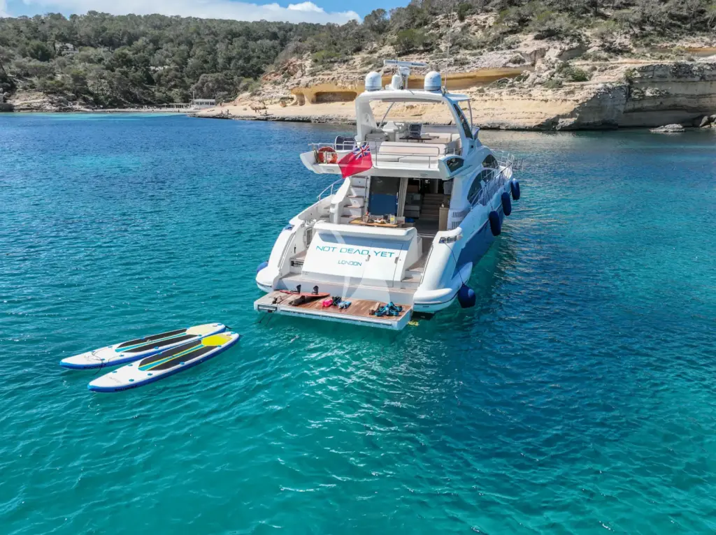 NOT DEAD YET - Image 3