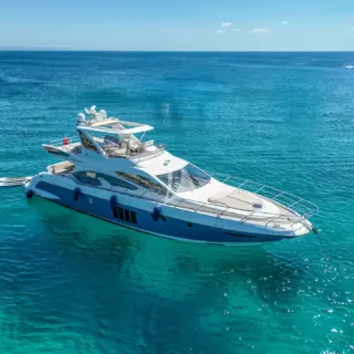 NOT DEAD YET - Image 2