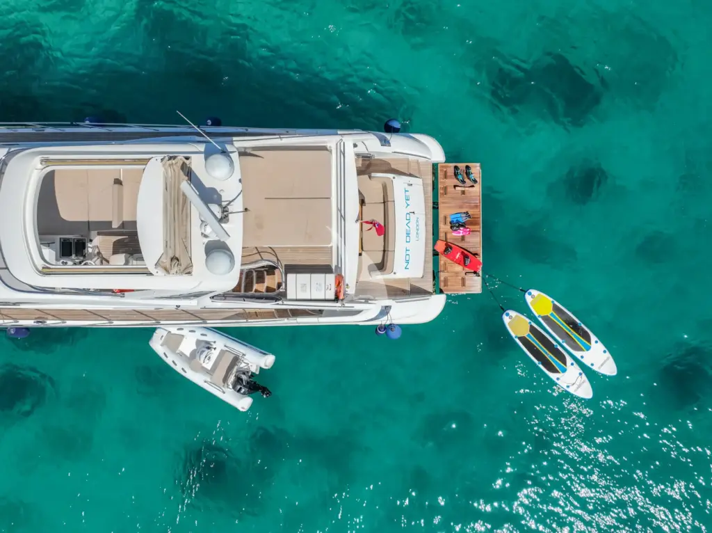 NOT DEAD YET - Image 2