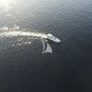 MEDUSA - Image 19