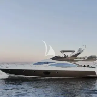 MEDUSA - Image 1