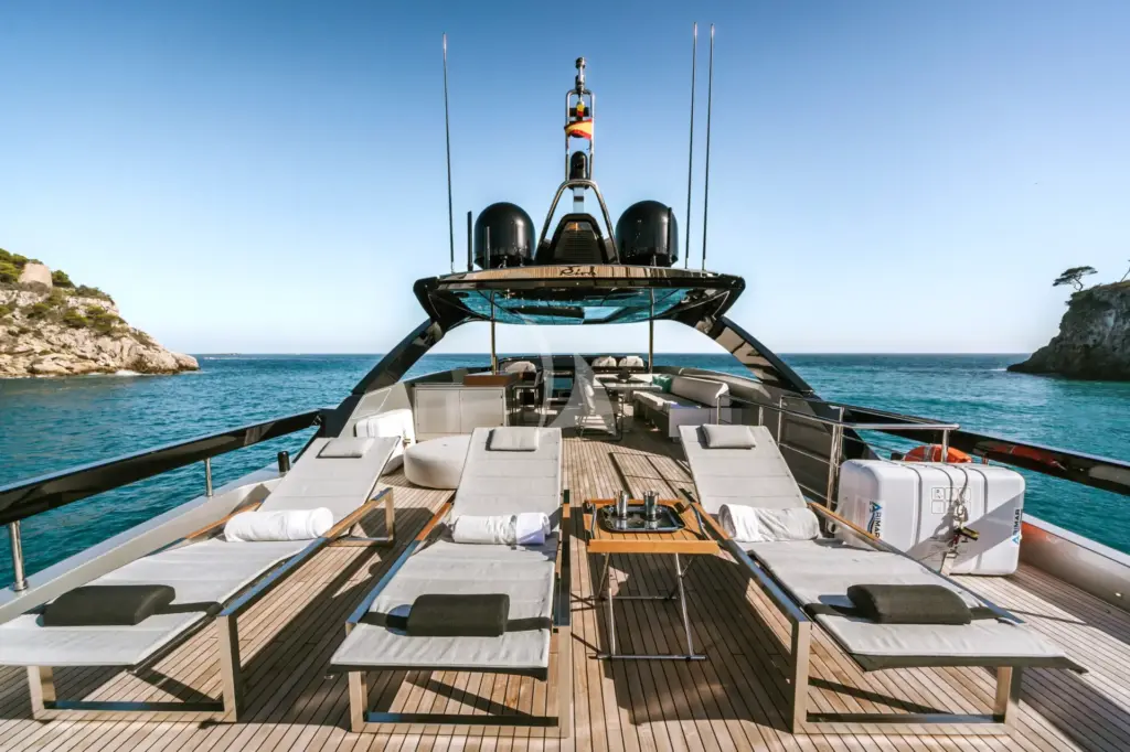 BARRACUDA III - Image 3