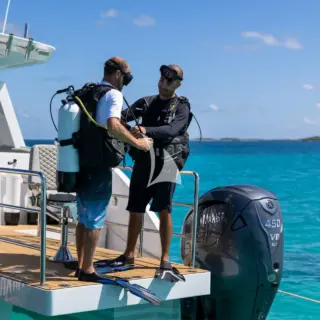 Scuba Diving rom Chase Tender Jewel