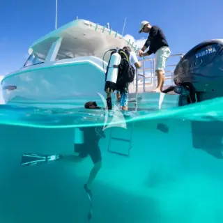 Scuba Diving rom Chase Tender Jewel