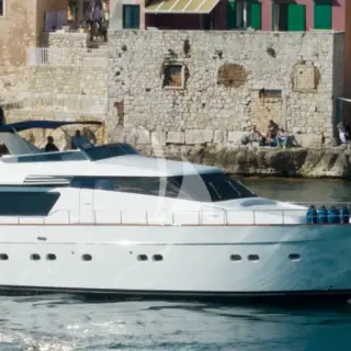 Lizard - Image 15