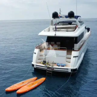 Lizard - Image 14