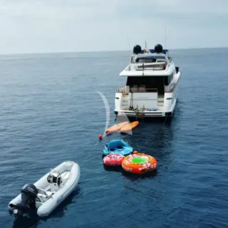 Lizard - Image 22