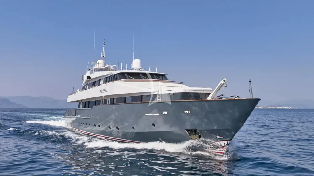 BELLA STELLA - Image 5