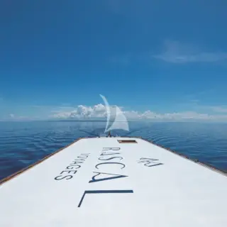 Top deck