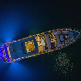 PARADISE - Image 22