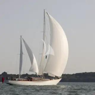 Kalea - Image 12