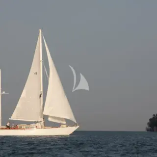 Kalea - Image 16