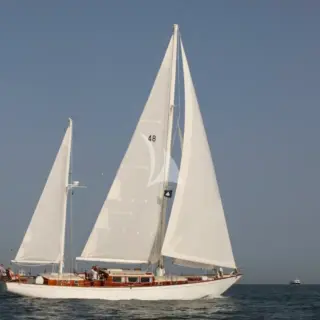 Kalea - Image 3