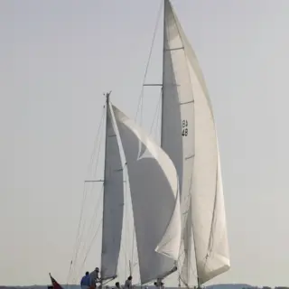 Kalea - Image 5