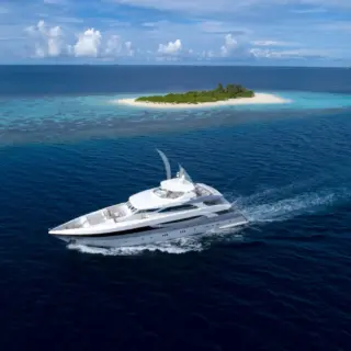 SEAREX - Image 2