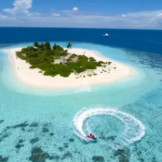 SEAREX - Image 23