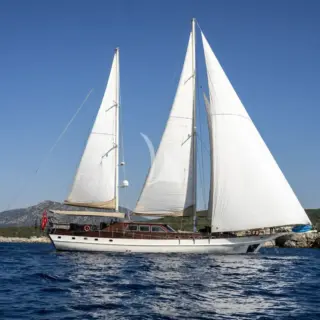 ARABELLA - Image 1