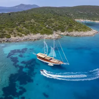 ARABELLA - Image 4