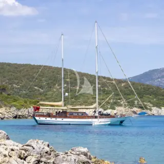 ARABELLA - Image 2