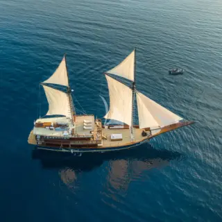 Celestia sailing
