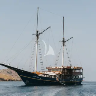 CELESTIA - At anchor