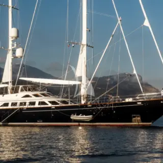 ELLEN - Image 16
