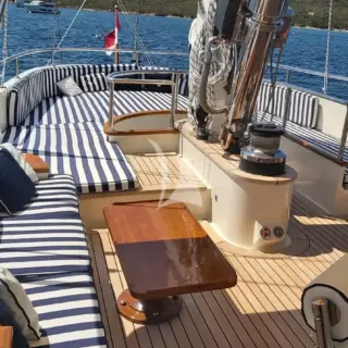 ELLEN - Image 12