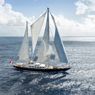 ELLEN - Image 2