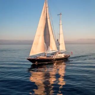 ELLEN - Image 1