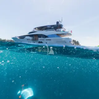 ROCCO - Image 15