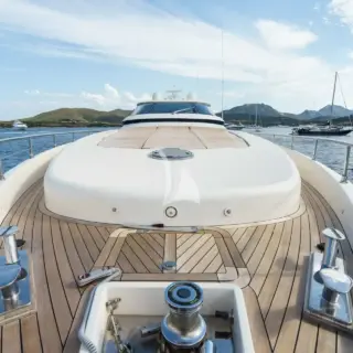 Allie - Image 18