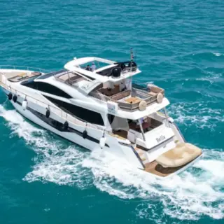 Bella - Image 15