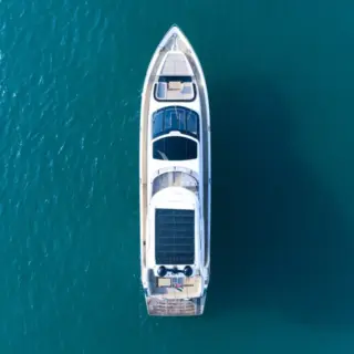 Bella - Image 17