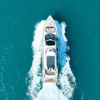 Bella - Image 3