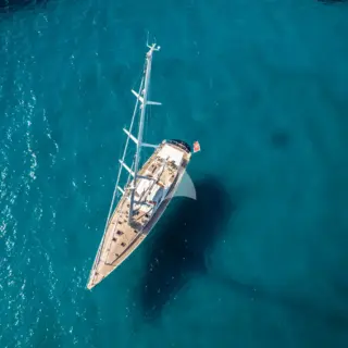 SCARENA - Image 2